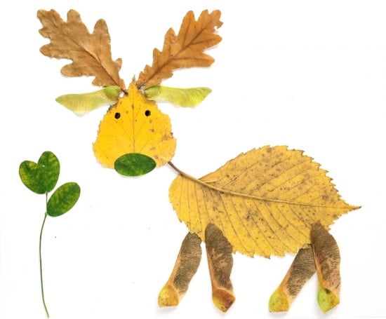 Τετράποδα με Φύλλα δέντρων!