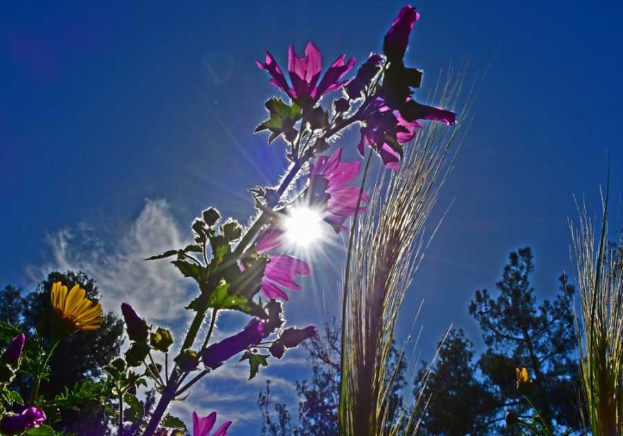 Ανεβαίνει η θερμοκρασία – Στους 24 C σήμερα