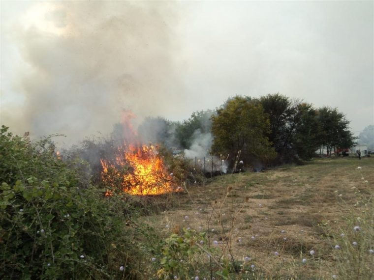 «Κόκκινος Συναγερμός» για πρόκληση πυρκαγιάς λόγω καύσωνα