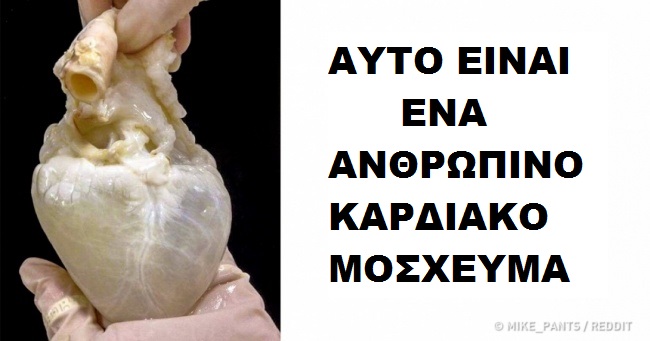 10 πράγματα που δεν είχατε δει ποτέ πώς είναι πραγματικά