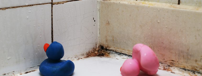 Πώς να αντιμετωπίσετε τη μούχλα στο σπίτι