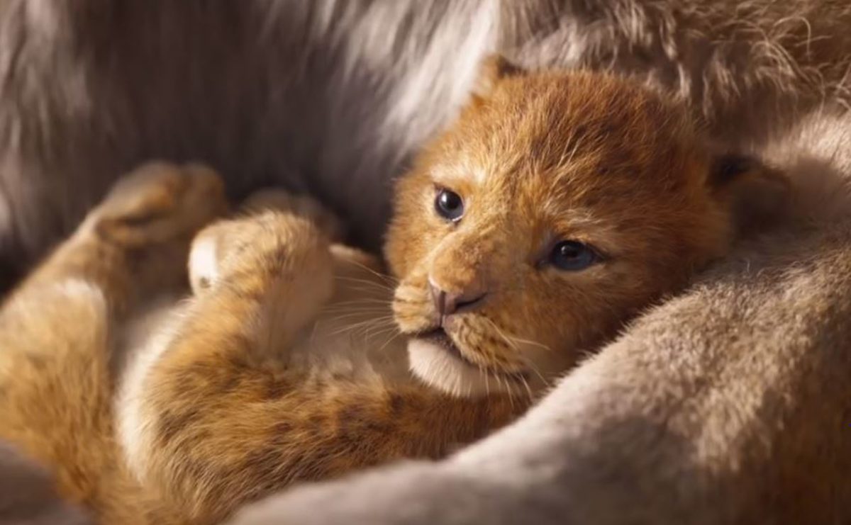 Το πρώτο trailer της νέας ταινίας Lion King είναι εδώ και είναι όσο εντυπωσιακό πρέπει!