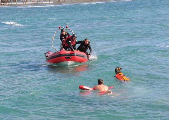 «Παιδάκι ήρθε για κολύμπι και παραλίγο να πνιγεί!»: Συγκλονίζουν οι ιστορίες της Ναυαγοσωστικής Μονάδας Λεμεσού (video)