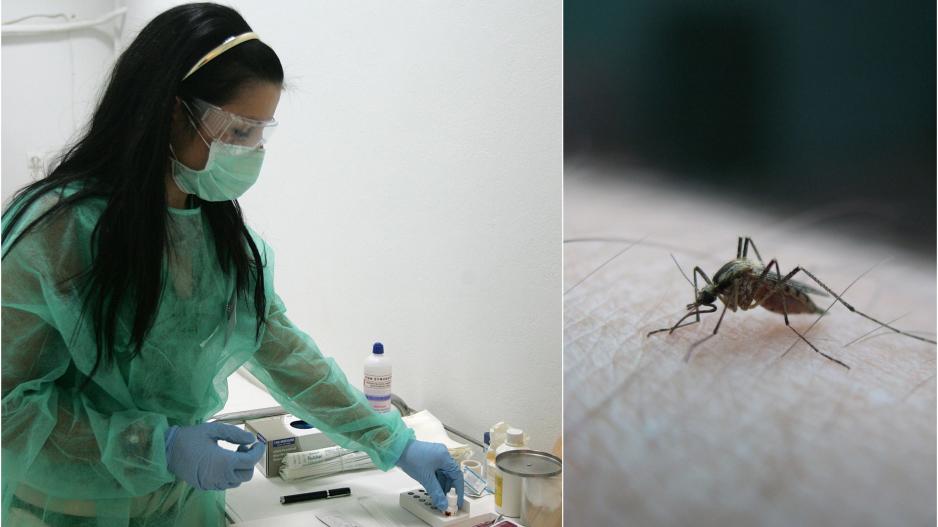 Το πρώτο θύμα του Ιού του Δυτικού Νείλου στην Κύπρο είναι γεγονός – Πώς να προστατευθείτε