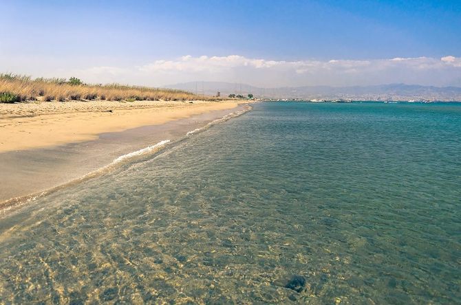 Σοβαρή καταγγελία για τσιμπήματα δράκαινας σε παραλία της Λεμεσού – Τι να κάνετε αν τσιμπήσει εσάς ή το παιδί σας
