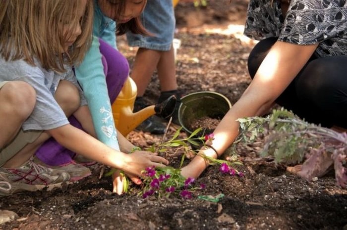 Nursery Fields Forever: Το νηπιαγωγείο – φάρμα της Ρώμης που αξίζει να εμπνεύσει όλες τις χώρες