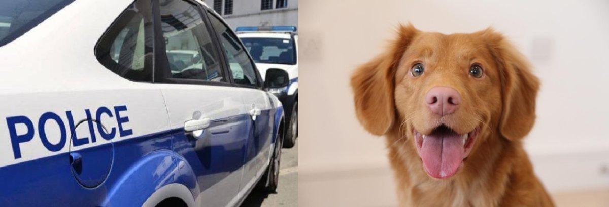 Αστυνομία για τα Ζώα θα δημιουργηθεί στην Κύπρο: Τι θα ελέγχει;