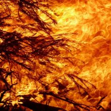 Μάχη με τις φλόγες σε 3 εστίες - Πού είναι τα πύρινα μέτωπα
