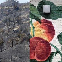 «Θα τα βάψουμε πολύχρωμα»: Μία συγκινητική πρωτοβουλία των νέων για τον καμένο Αρακαπά