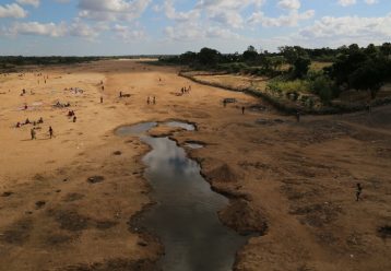 «Τα παιδιά μου και εγώ τρώμε έντομα κάθε μέρα επί 8 μήνες, δεν έχουμε τίποτα άλλο»