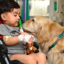Σκυλάκια επισκέφτηκαν τις μέρες των γιορτών νοσοκομείο για να κάνουν παρέα με άρρωστα παιδιά