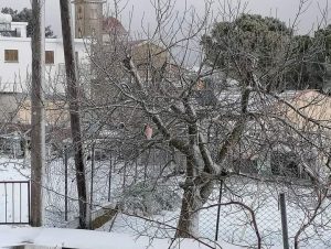 Ο Φίλιππος επελαύνει στην Κύπρο: Ονειρικές λευκές εικόνες από τις ορεινές κοινότητες