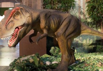 Ανοιχτό για επισκέψεις για τους μικρούς φίλους το Πάρκο Δεινοσαύρων στην Αθηένου
