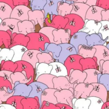 Μπορείς να βρεις την καρδούλα μέσα στους ελέφαντες σε 20 δευτερόλεπτα;