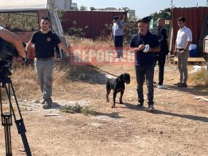 Σε σταθερή κατάσταση ο 8χρονος που δέχθηκε επίθεση από σκύλο - Τι γίνεται με τον σκύλο