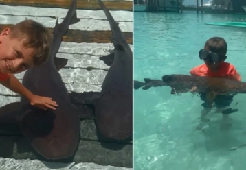 «Μπαμπά, δεν θέλω να πεθάνω»: Συγκλονίζει 8χρονος που έπεσε στα σαγόνια του καρχαρία