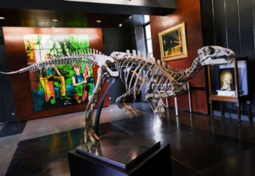 Ένας μικρός σκελετός δεινοσαύρου θα πουληθεί σε δημοπρασία στο Παρίσι!