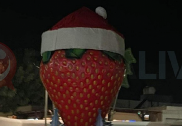 Tι είναι αυτή η τεράστια χριστουγεννιάτικη φράουλα που «ξεφύτρωσε» στη Δερύνεια (εικόνα)