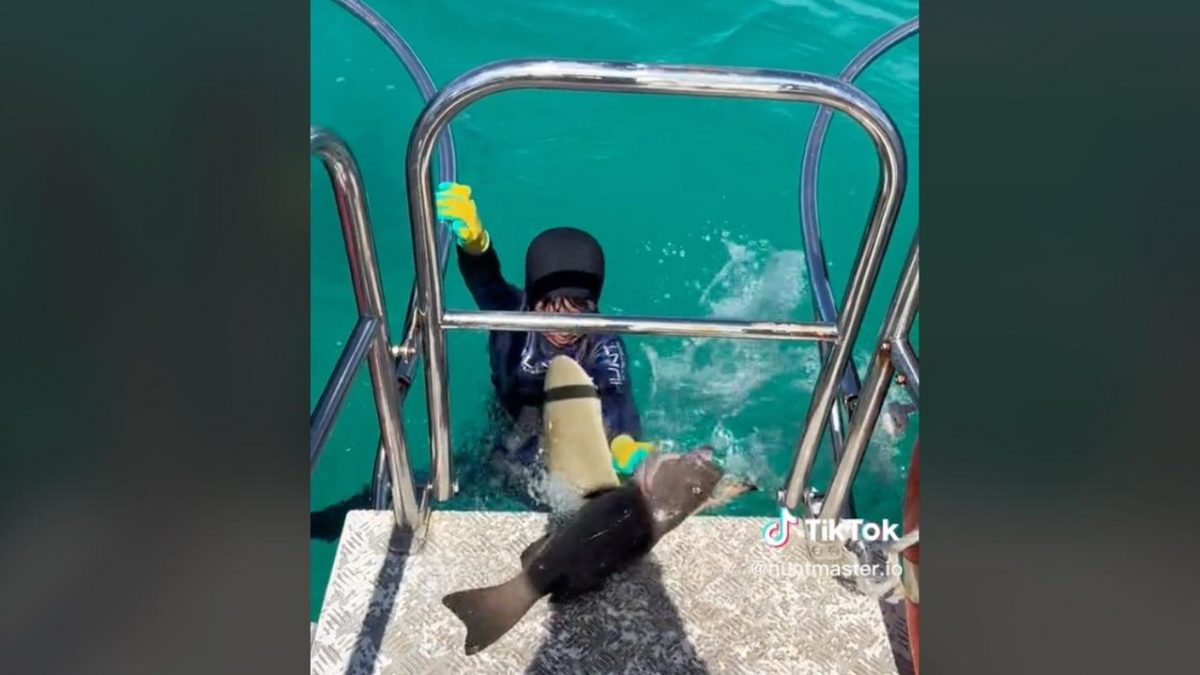 Αδιανόητες εικόνες: Καρχαρίας πηδά έξω από το νερό και δαγκώνει 8χρονο αγόρι (video)