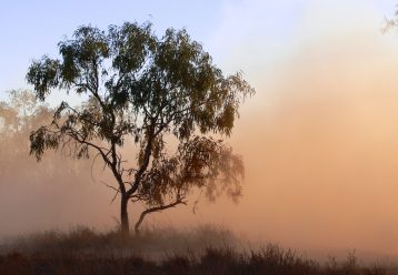 Στο κόκκινο σήμερα η σκόνη στην Κύπρο - Τι πρέπει να προσέξετε