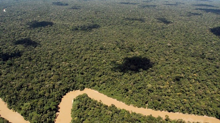 Αεροπλάνο έπεσε στην Κολομβία – Σώθηκαν 4 μικρά παιδιά έπειτα από 15 μέρες στη ζούγκλα!