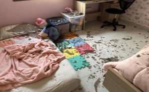 Ανεμοστρόβιλοι σάρωσαν τη Γερμασόγεια: «Μόλις έβγαλε το μωρό από το δωμάτιο έπεσε υπόστεγο»